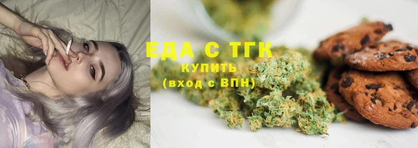 стаф Горнозаводск