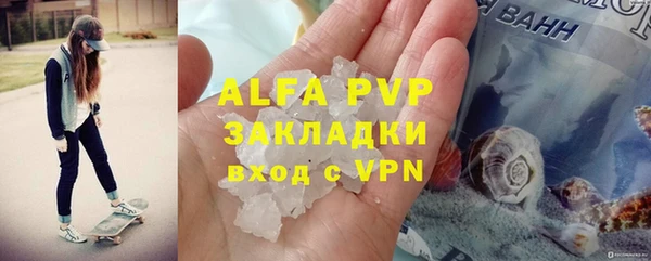 индика Горняк