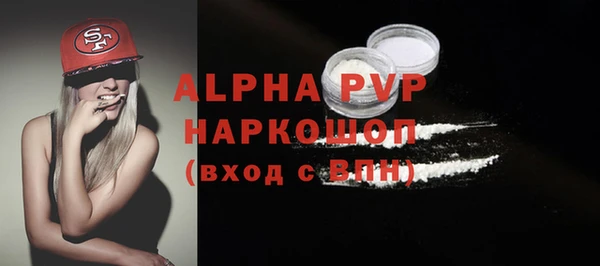 индика Горняк