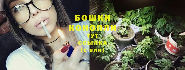 гашик Гусиноозёрск