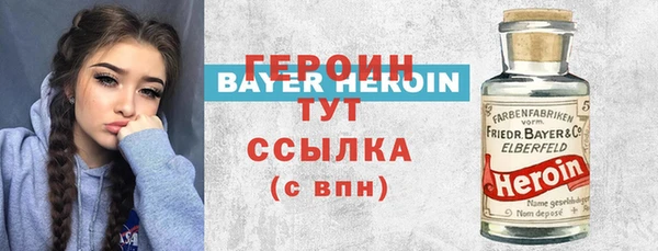 индика Горняк