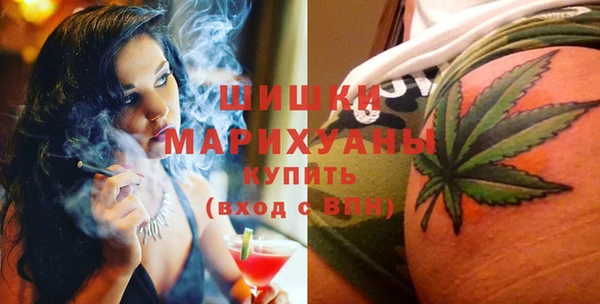 индика Горняк
