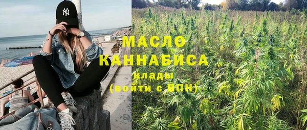 индика Горняк