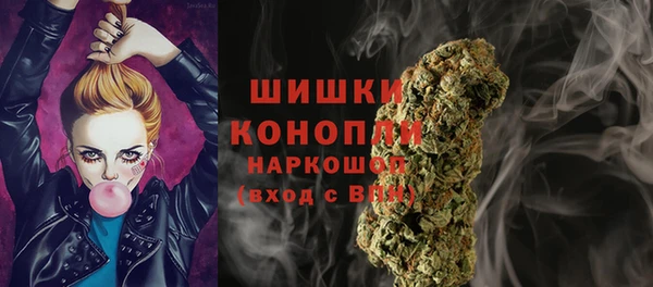 индика Горняк
