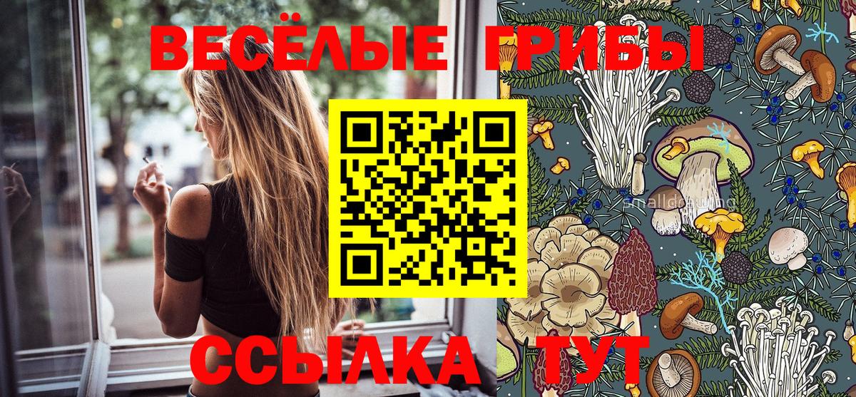 Экстази  Вход с VPN  Cocaine  Продажа наркотиков  Острогожск  Меф МЯУ МЯУ   Бошки Шишки 