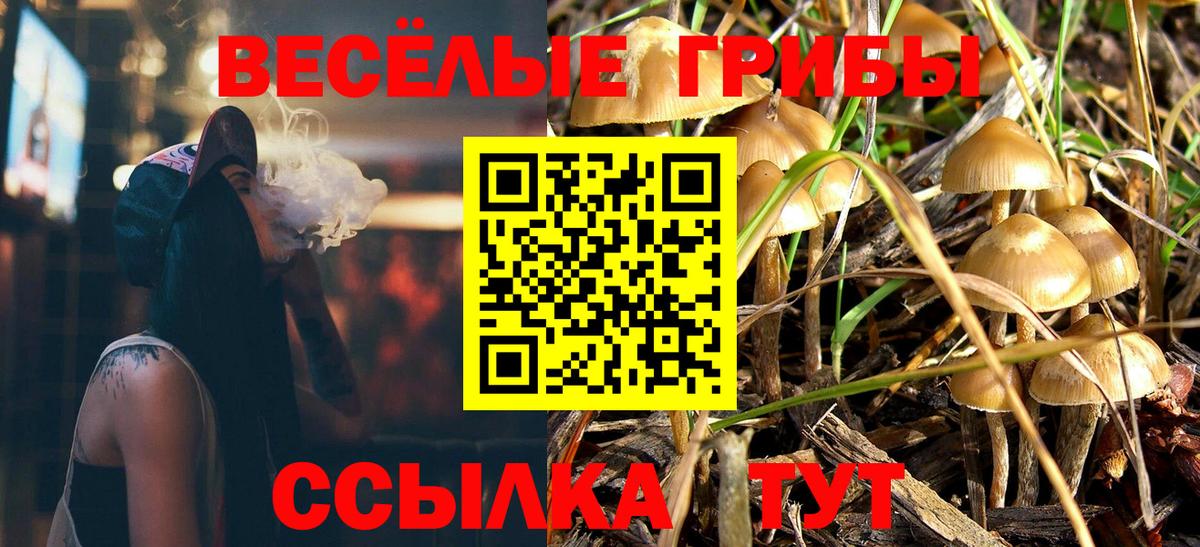 Псилоцибиновые грибы прущие грибы  Острогожск 